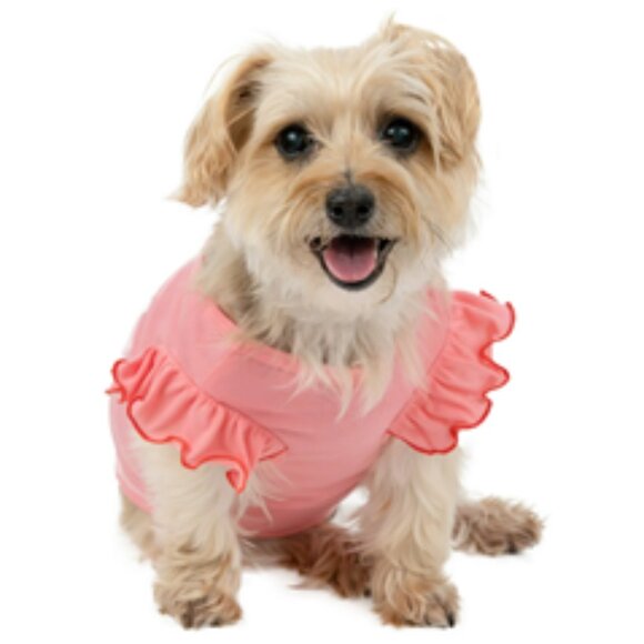 NWT ~ Vibrant Life All You Need Is Love Dog T-Shirt, Pink (Size: Small) - Picture 2 of 8